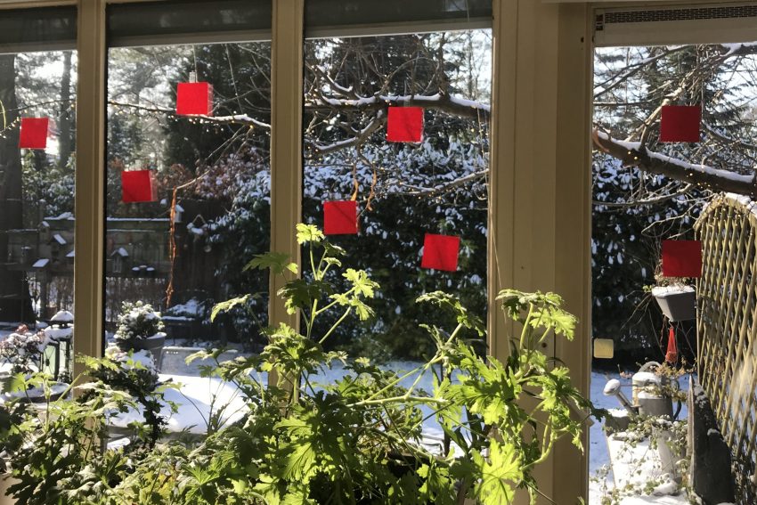een venster dat uitkijkt op de tuin met rode plakkers op de ruit, het duivels dilemma